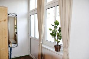 Comfortable 2-room apartment for rest & work P-Berg
