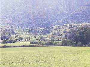 Appartements Agapanthe location : photos des chambres