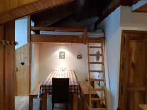 Charmant Duplex Montagne aux Deux Alpes avec Sauna et Wifi - FR-1-516-147