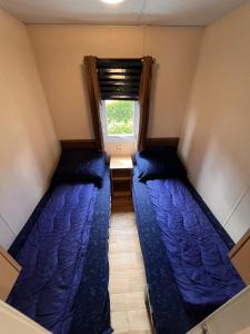 ZP 655 - Camping de Zandput