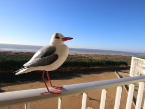 Charmant T2 rénové avec balcon et parking, accès direct plage - Saint Brevin - FR-1-364-115