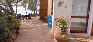 Terrazza sul Mare