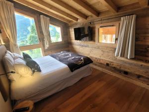 Chalet de luxe aux Gets avec jacuzzi et animaux admis, proche pistes - FR-1-598-89