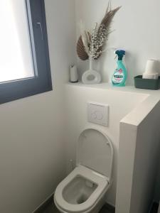 Maisons d'hotes Studio cosy et independant - ideal pour 2 personnes : photos des chambres