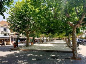 Appartements Studio Climatise avec Terrasse et Parking au Centre du Lavandou - FR-1-251-202 : photos des chambres