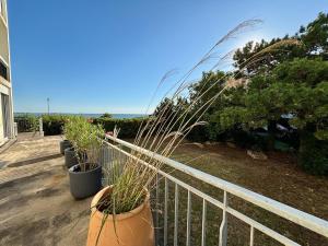 Appartements Duplex vue mer,direct plage : photos des chambres