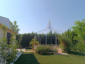 Silvana campo y ciudad