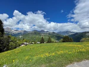 Appartement cosy 6 pers, 50m², proche pistes, 2 SDB, cuisine équipée, calme, non-fumeurs - FR-1-733-120