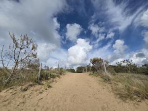 Appartements Appartement neuf 62 m², 5 couchages, a 250 m de la plage - balcon, jardin prive, et parking inclus - FR-1-364-111 : photos des chambres