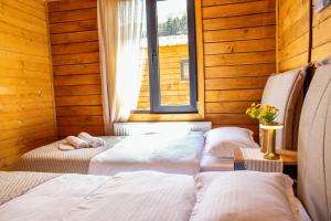 Cottage Mountain crystal kazbegi