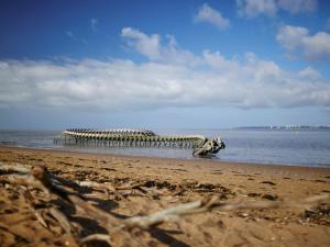 Appartements Appartement Neuf 3/4 Couchages a 30m de la Plage avec Parking - FR-1-364-161 : photos des chambres