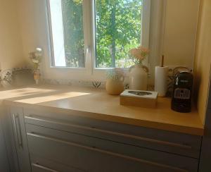 Appartements NEW Raiponce Suite 10min Disney : photos des chambres
