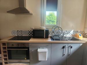 Appartements NEW Raiponce Suite 10min Disney : photos des chambres