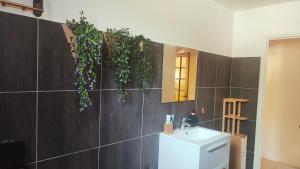 Appartements NEW Raiponce Suite 10min Disney : photos des chambres