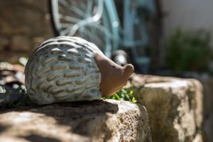 La maison du hérisson