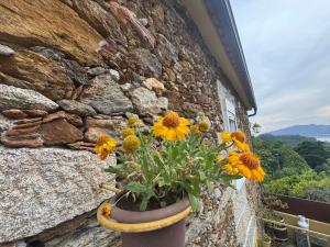 Casa da Avó Quina - Seixas