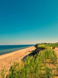 Ferienwohnung Strandperle
