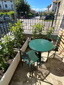 IL PARADISO delle farfalle