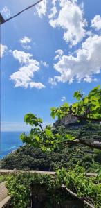 Lovely Amalfi panoramic house with garden