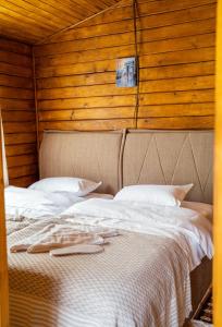 Cottage Mountain crystal kazbegi