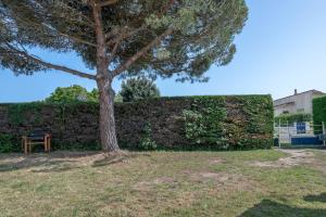 Maisons de vacances 600 m de la plage, maison pour 4 adultes 2 enfants : photos des chambres