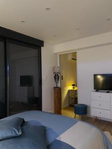 Appartements Appartement independant refait a neuf avec jacuzzi et terrasse privative proximite gare : photos des chambres