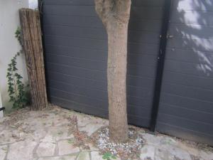 Pavillon 300m Plage avec Piscine et Parking, Climatisation - FR-1-781-79