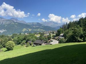 Appartements Appartement cosy 4 pers, proche pistes et commerces - FR-1-733-169 : photos des chambres