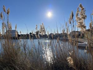Charmant T2 Cabine 4 Pers, Piscine, Parking à Le Barcarès - FR-1-799-39