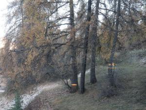 Studio confortable à Les Orres, accès direct aux pistes, WiFi et parking privé - FR-1-322-680