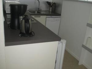 Appartement 4 pers près centre et pistes, navette, parking, lave-vaisselle - FR-1-814-74