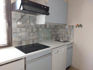 Appartement T2 au centre de Vieux-Boucau avec parking privé, proche des plages - FR-1-239-1136