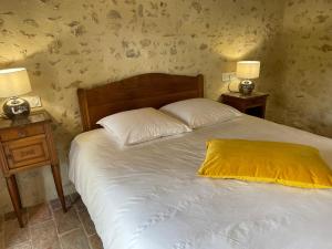 Maison dhôtes familiale près de La Flèche, animaux acceptés - FR-1-410-476