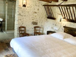 B&B / Chambres d'hotes Maison d-hotes familiale pres de La Fleche, animaux acceptes - FR-1-410-476 : photos des chambres