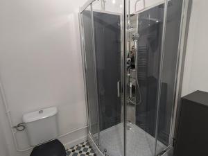 Appartements Studio cabine renove avec vue sur le centre, WiFi et animaux acceptes - FR-1-787-117 : Studio