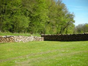 Maisons de vacances Gite paisible dans forets avec velos et randonnees, animaux admis - FR-1-583-503 : photos des chambres