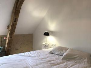 B&B / Chambres d'hotes Maison d-hotes pres de La Fleche - Animaux Admis - Petit-dejeuner Inclus - FR-1-410-477 : photos des chambres