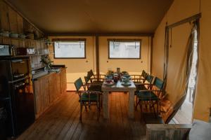 Damselfy Riverdale Yorkshire