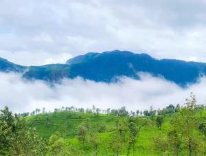 Dsr avenue - Unrated properties in Coimbatore