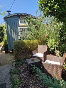 Elmdale Hut - Shepherds Hut