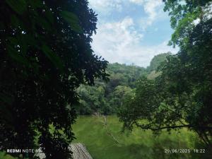 Pac Ngoi Village Homestay