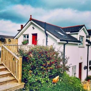 The Snug, Mayobridge