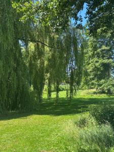 Bed & Breakfast Waterpoort - incl licht ontbijt en parking