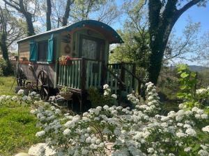 Maisons de vacances 