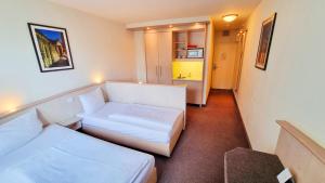 Standard Apartment room in Panorama Inn Hotel