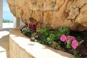 Appartamenti da Clarissa