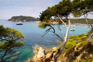 Escale Toulonnaise - Cosy, calme & bien situé