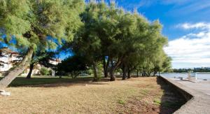 Queen Bee Apartments