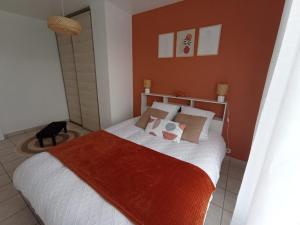 Appartements T2 - Terrasse avec vue imprenable - Secteur gare : photos des chambres