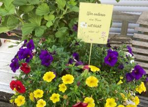 Ferienwohnungen Hubertus